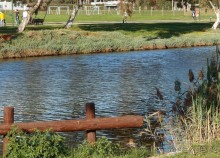 Город и Море