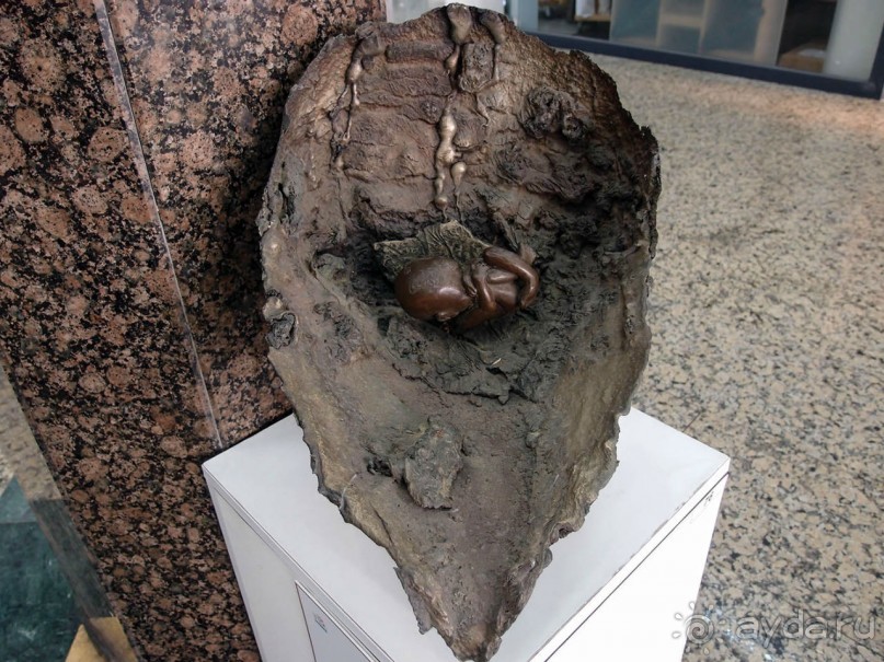 Город и Море