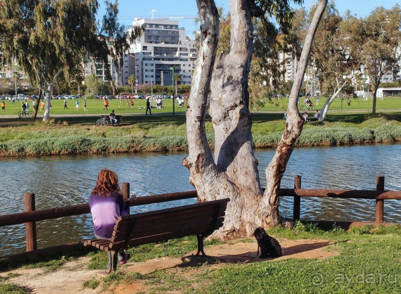 Город и Море Город и Море