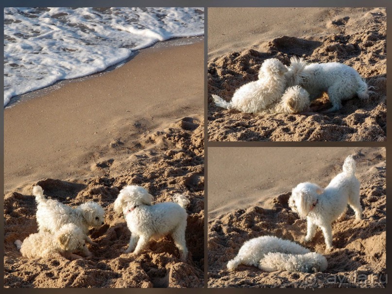 Город и Море