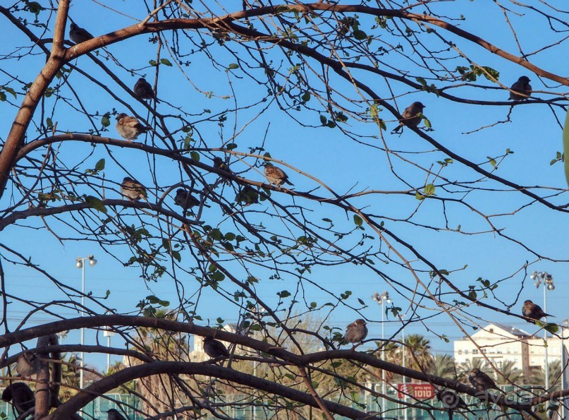 Город и Море