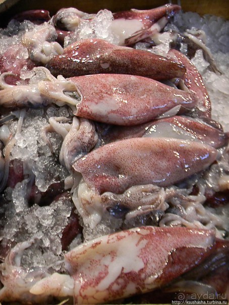 Площадь Согласия по-афински