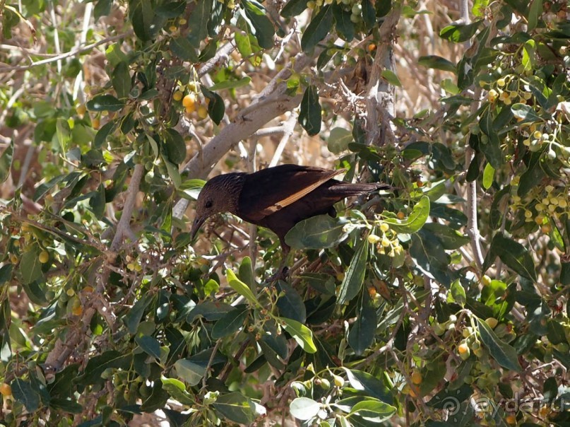 Милая семейка