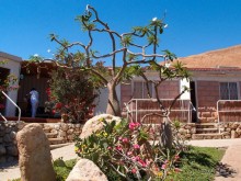 Милая семейка