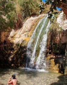 Милая семейка