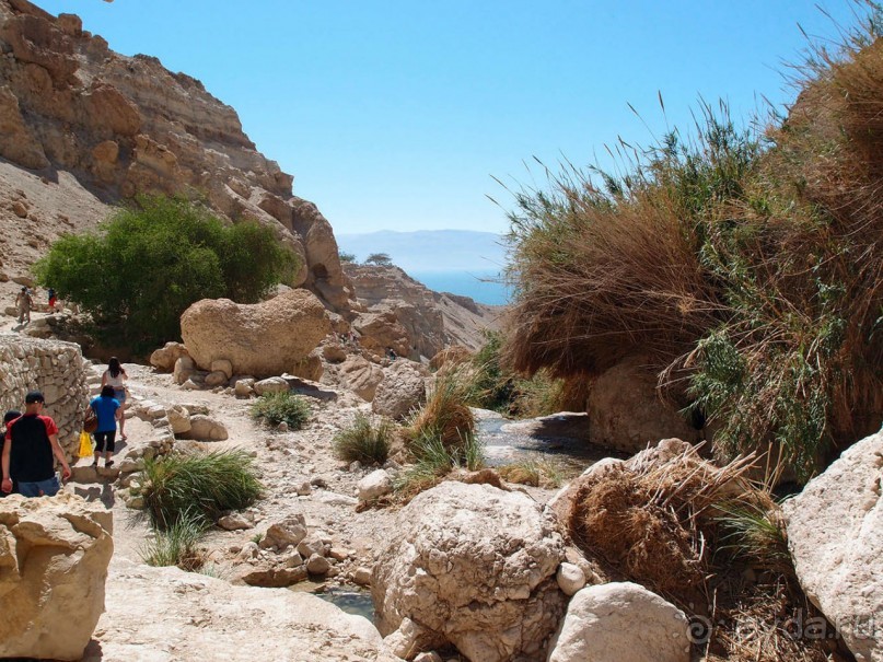 Милая семейка