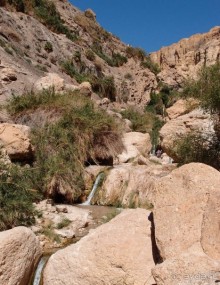 Милая семейка