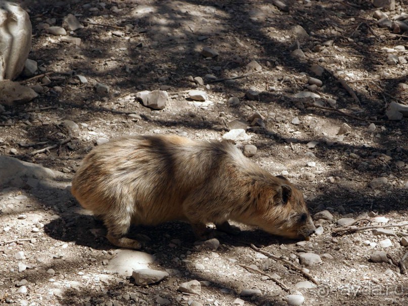 Милая семейка
