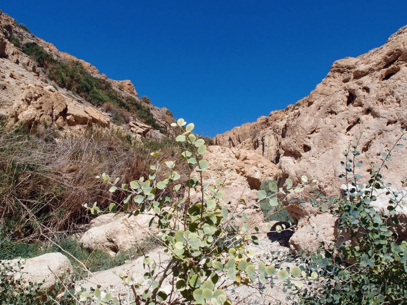 Милая семейка Милая семейка