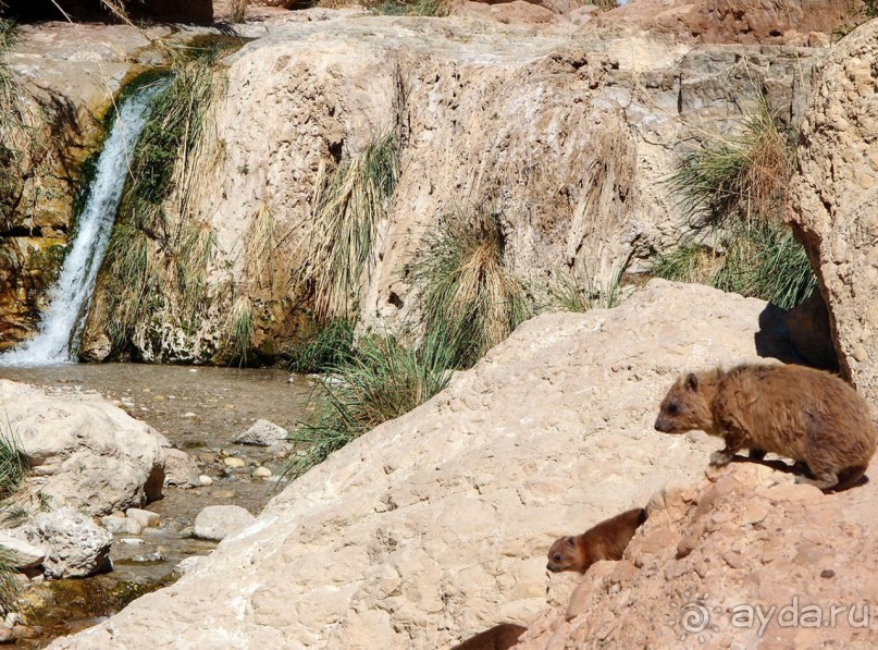 Милая семейка Милая семейка