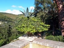 Магнетизм долины Ада