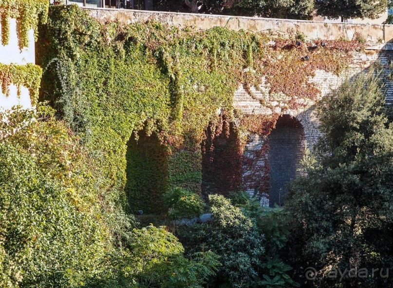 Магнетизм долины Ада