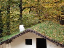 Осенняя Думбрава