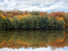 Осенняя Думбрава