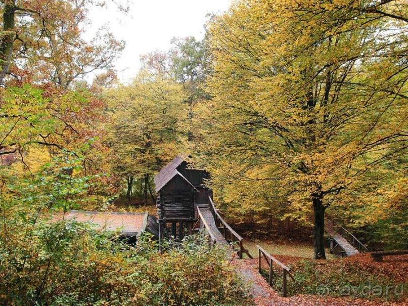 Осенняя Думбрава