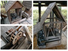 Осенняя Думбрава