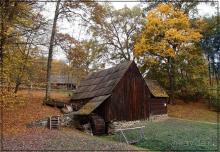 Осенняя Думбрава