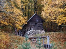 Осенняя Думбрава