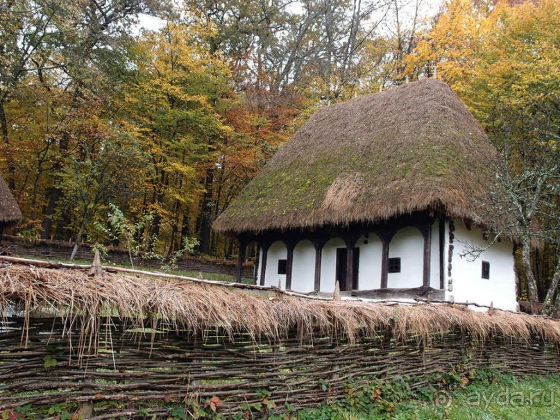 Осенняя Думбрава