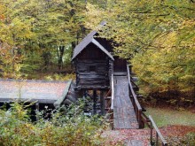 Осенняя Думбрава