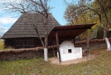 Осенняя Думбрава