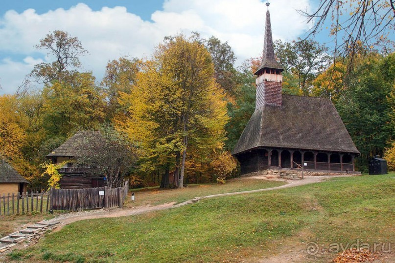 Осенняя Думбрава