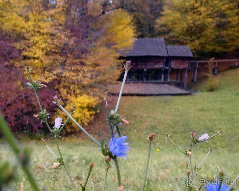 Осенняя Думбрава