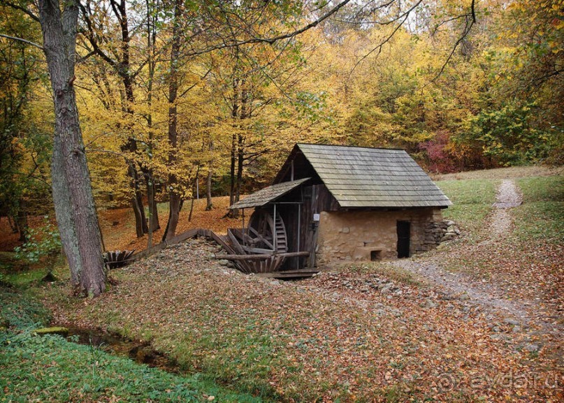 Осенняя Думбрава