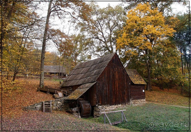 Осенняя Думбрава