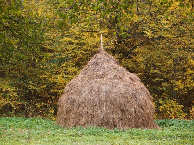 Осенняя Думбрава