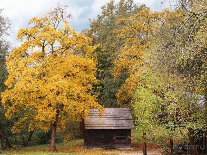 Осенняя Думбрава