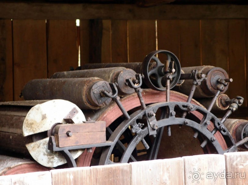 Осенняя Думбрава