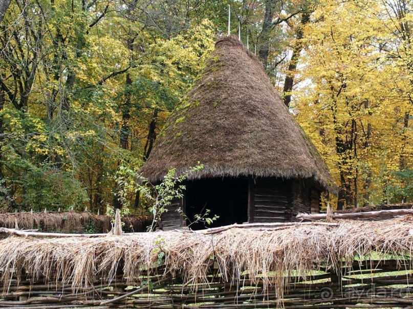 Осенняя Думбрава