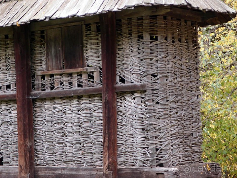 Осенняя Думбрава