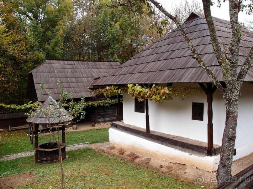 Осенняя Думбрава