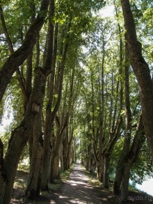 Охотничий замок для мэра