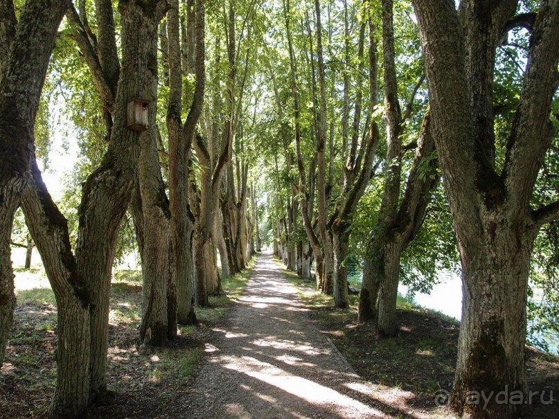 Охотничий замок для мэра