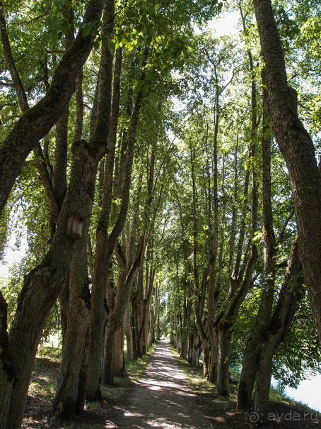 Охотничий замок для мэра