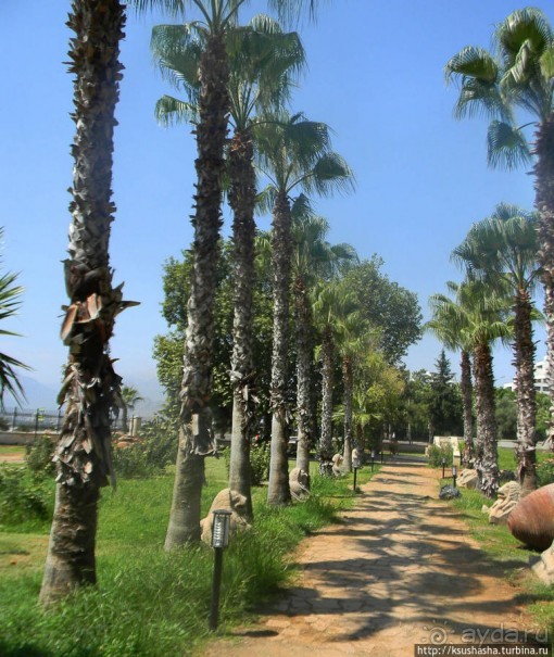 Находки из давних времён до османского периода