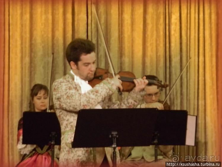 Музыкальный вечер во дворце Палфи