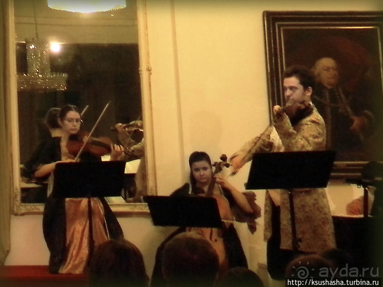 Музыкальный вечер во дворце Палфи