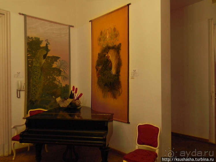 Музыкальный вечер во дворце Палфи