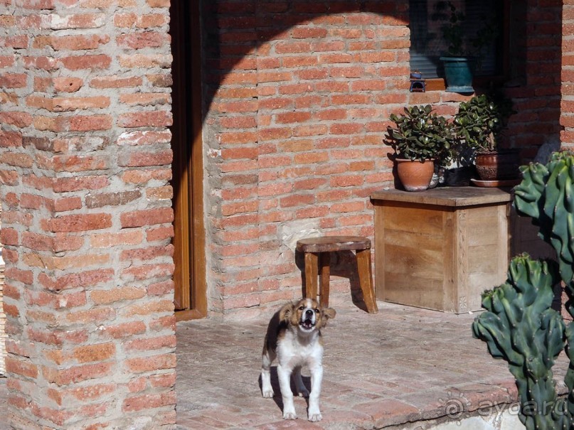 Град равноапостольной Нино