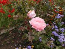 Монастырь с цыганским именем