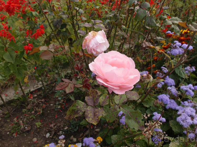 Монастырь с цыганским именем