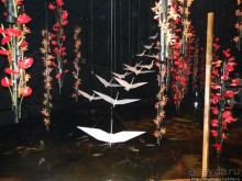 Международная выставка цветов