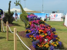 Международная выставка цветов