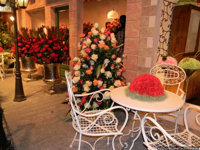 Международная выставка цветов