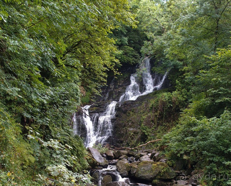 Изумрудный лес