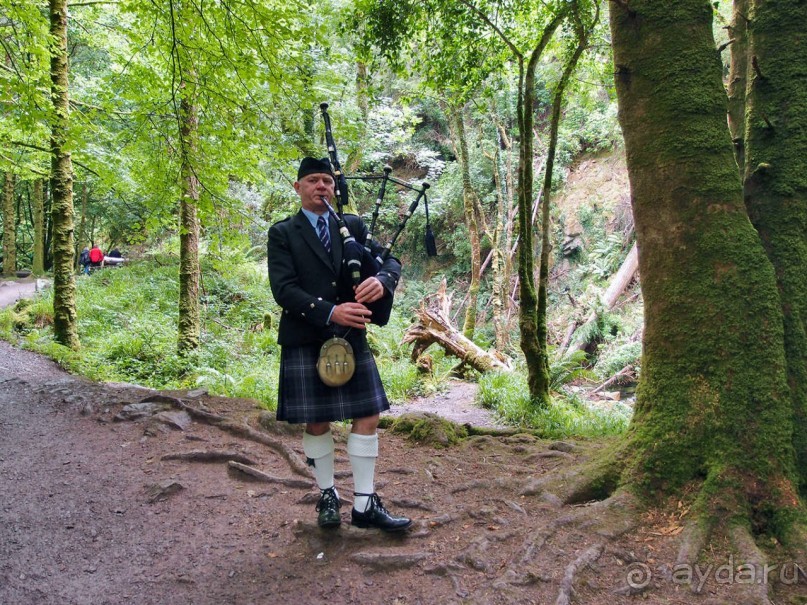 Изумрудный лес